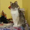 Отзыв от Кира Суворова